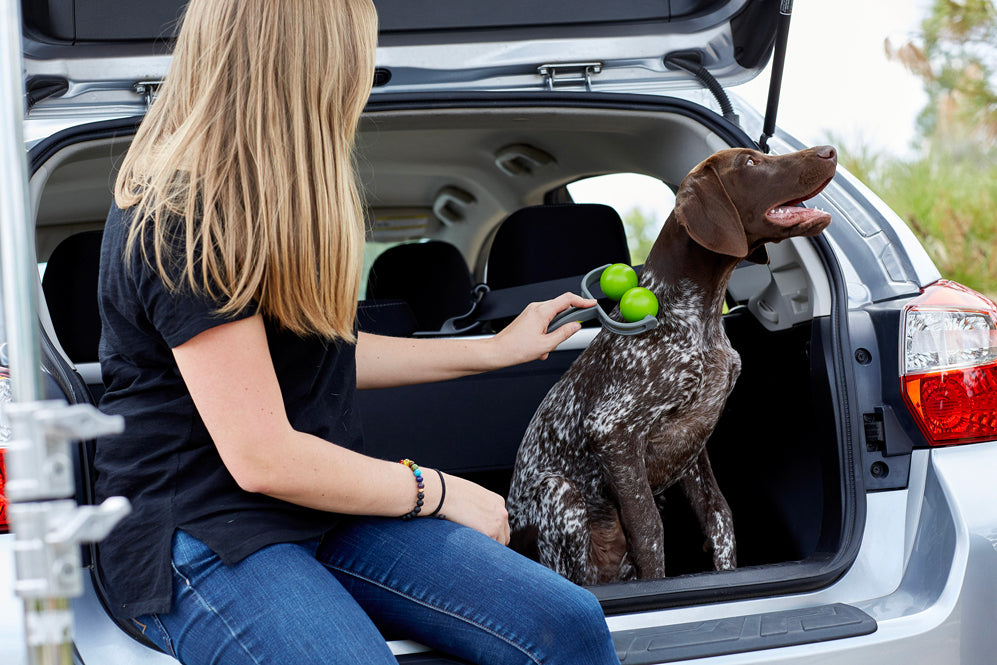 A woman uses a massager on her dog
