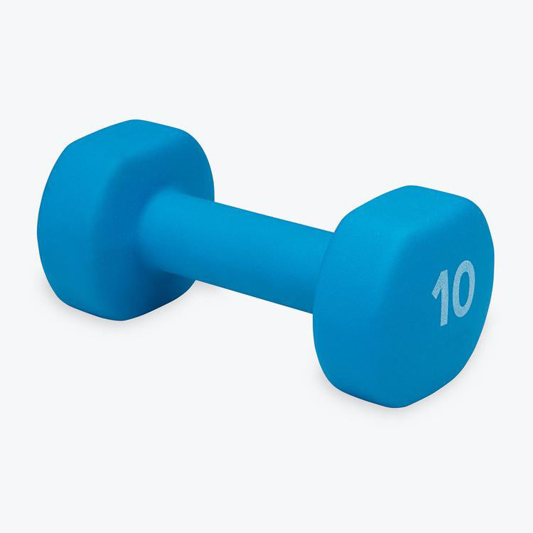 blue 10lb weight