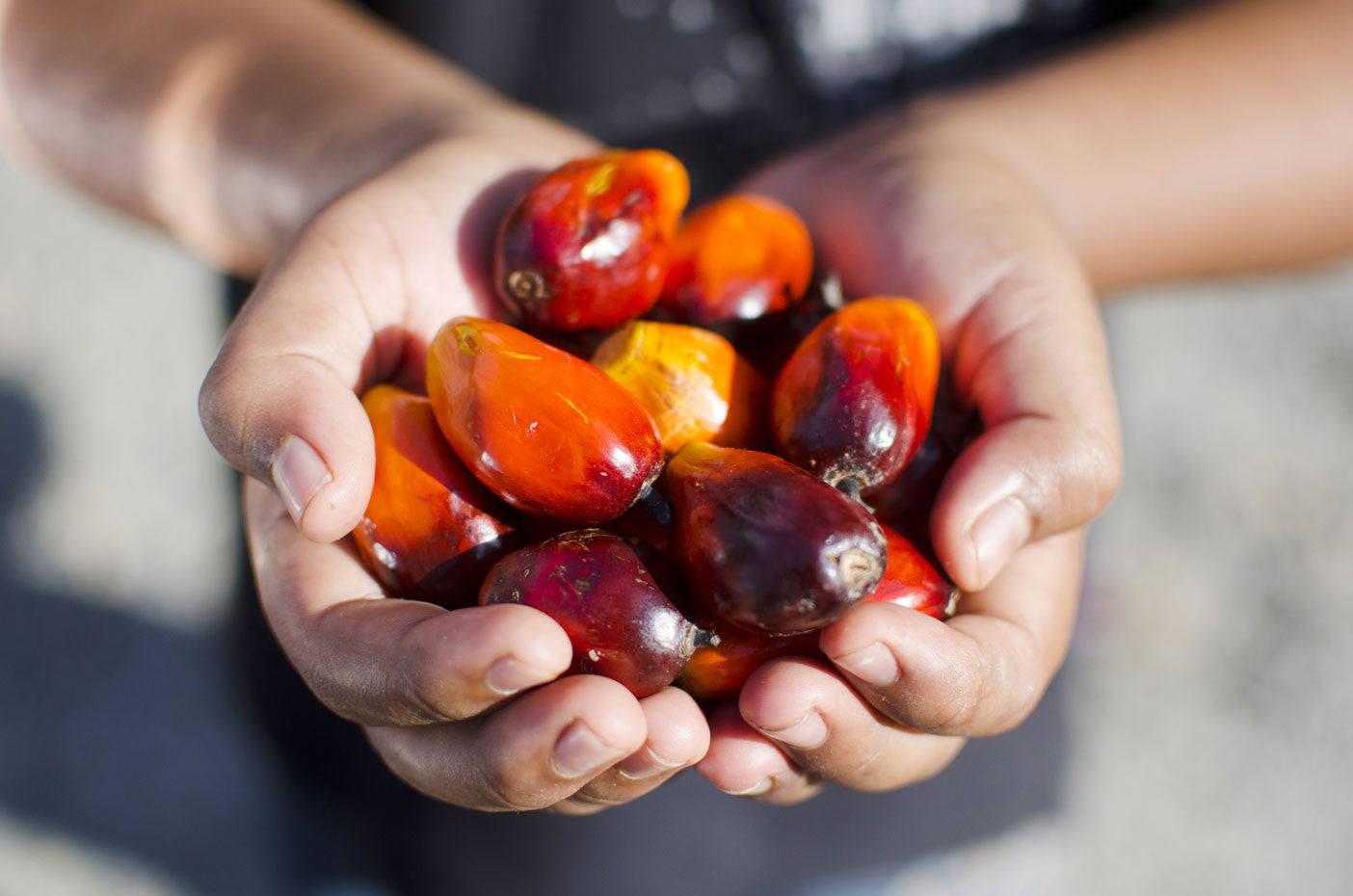 6 Ways to Avoid Palm Oil (and Why You Should)