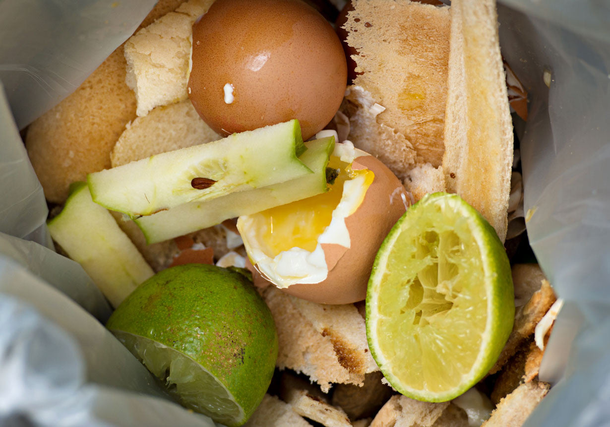 Composting food in a bin
