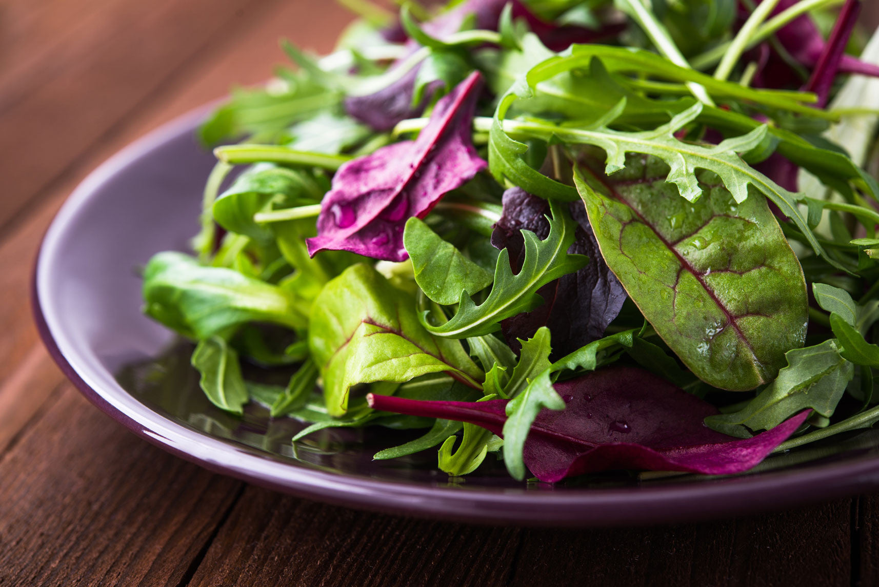 Bowl of salad