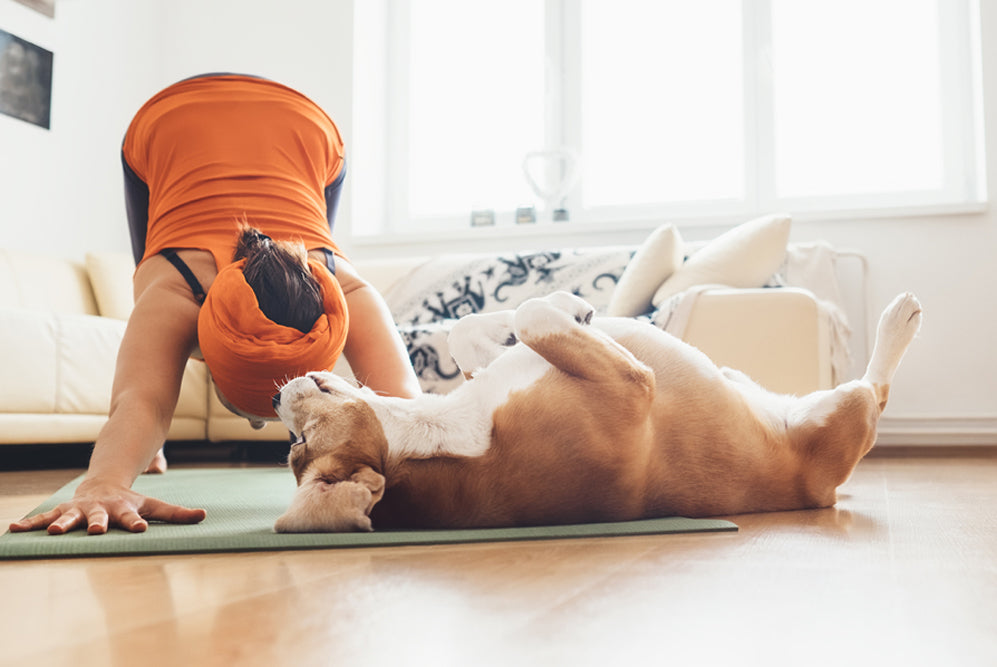 Woman doing downward dog with her dog next to her