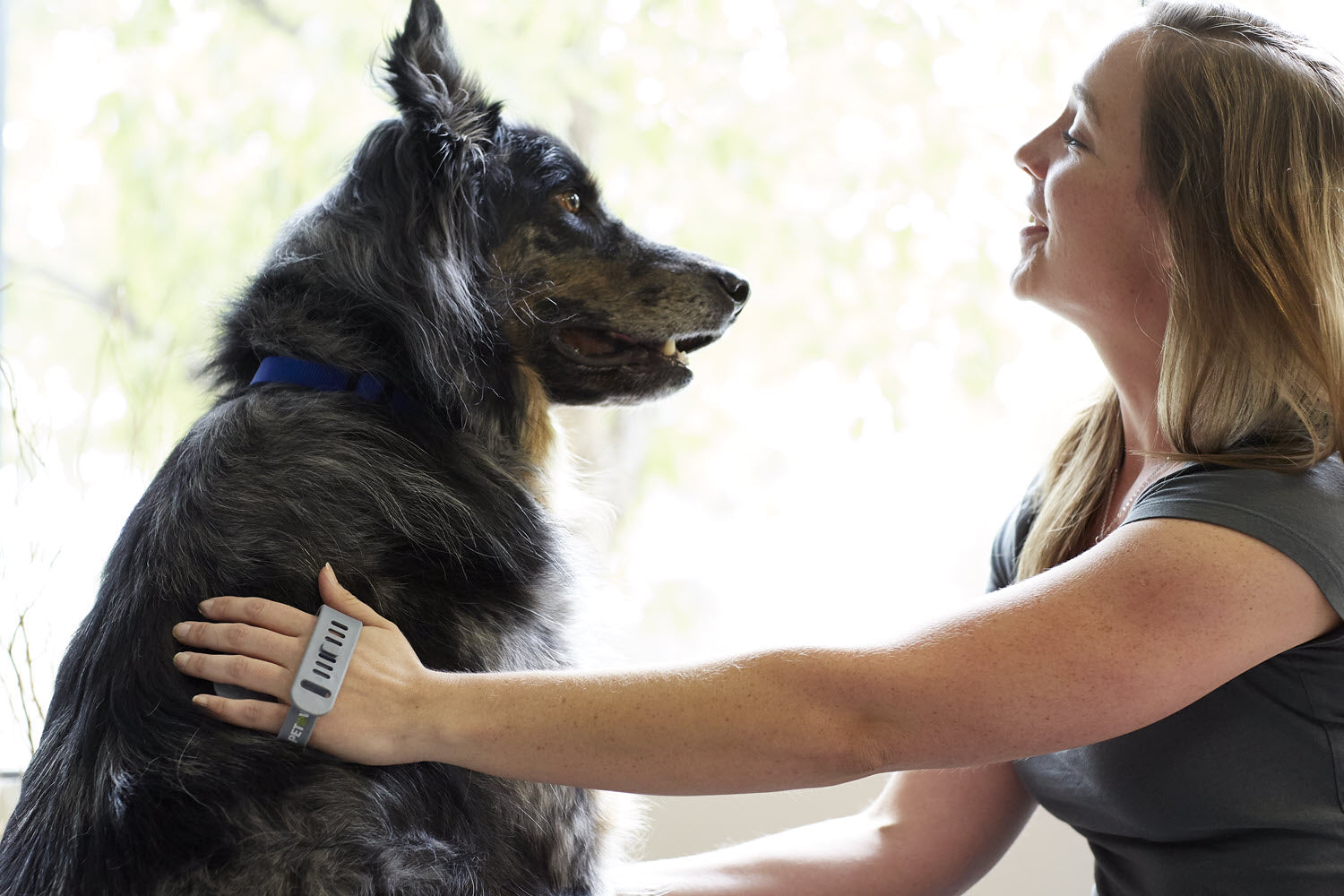 Owner petting her dog