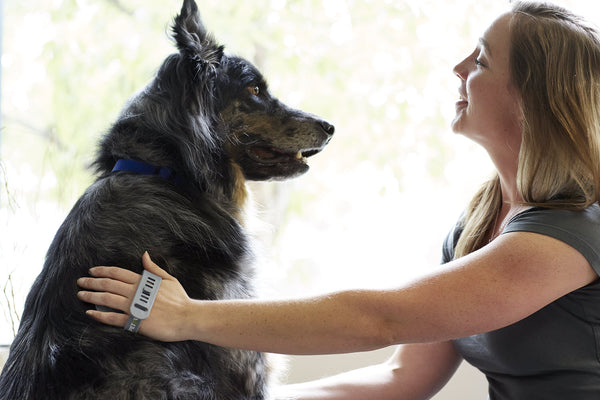 New Study Confirms that Dog Ownership Increases Longevity