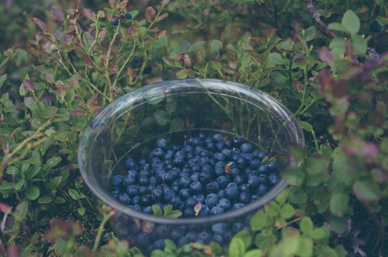 5 Foods to Boost Brainpower and Overall Health