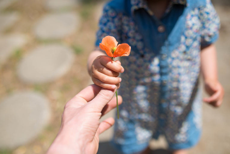 Person handing orange flower to a small child