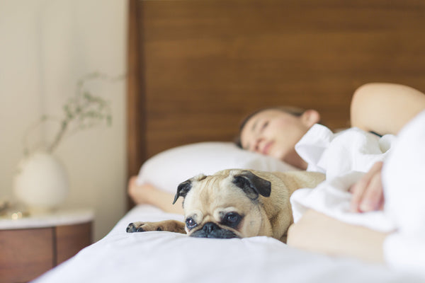9 Ways to get a Better Night's Sleep