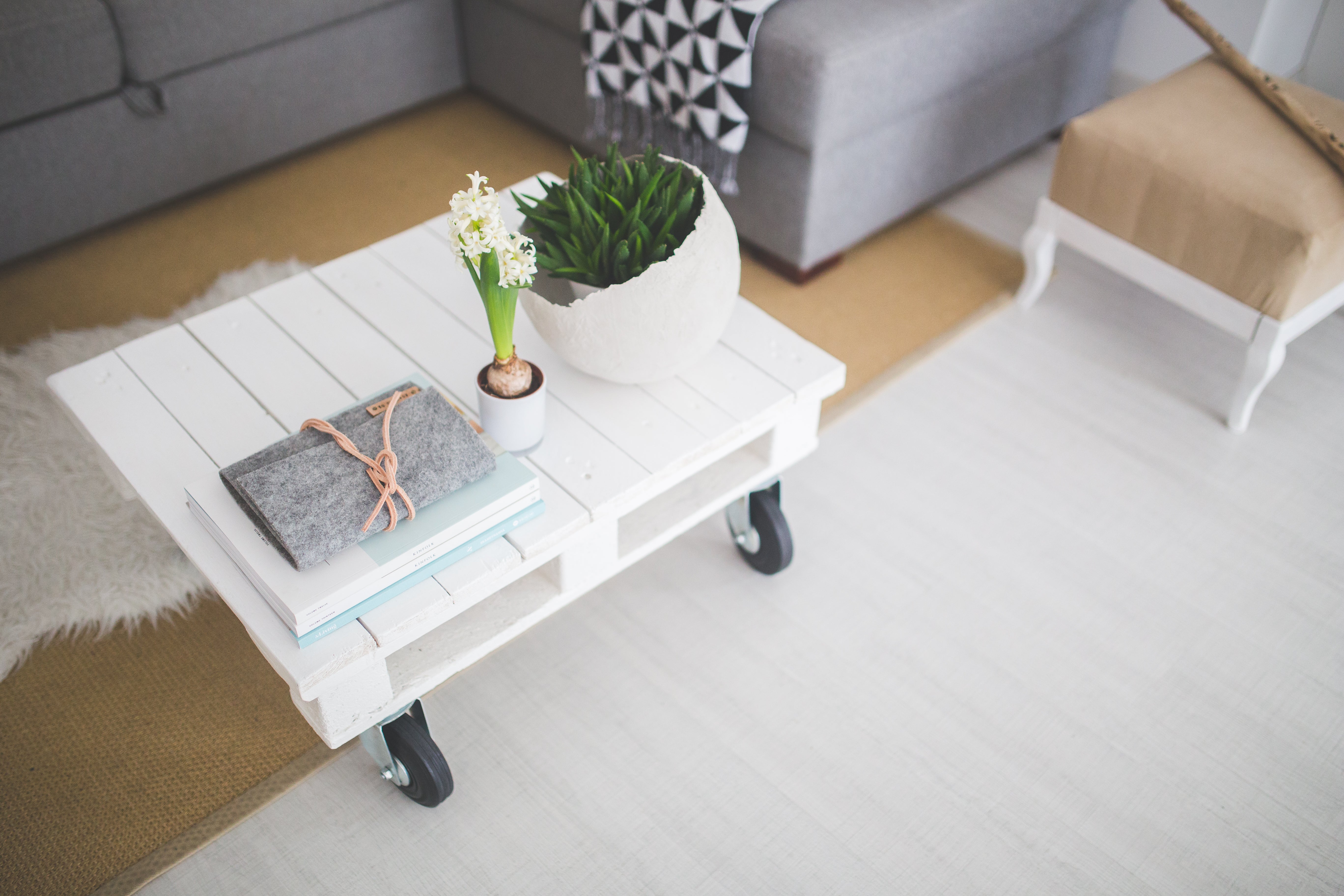 White coffee table with plants on top