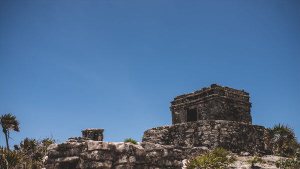 Yoga in the Mayan Riviera